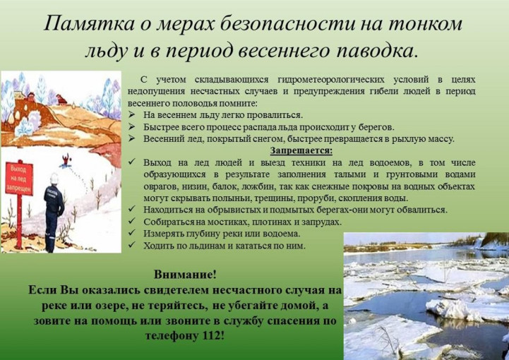 Памятки о профилактике несчастных случаев на водных объектах во время половодья. Памятки о профилактике несчастных случаев на водных объектах во время половодья.